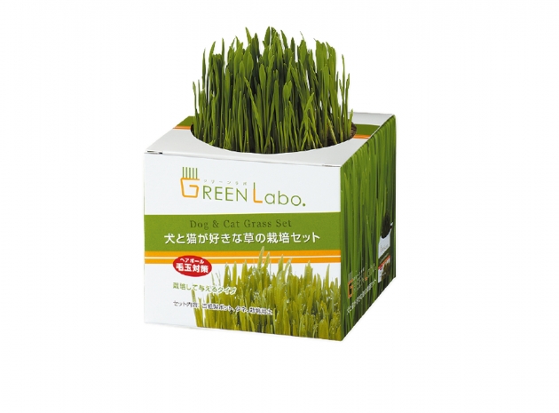 GREEN LABO 貓草 1